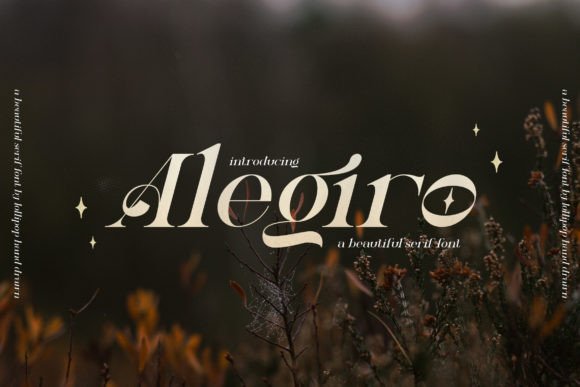 Alegiro Serif Font for Modern Web Design