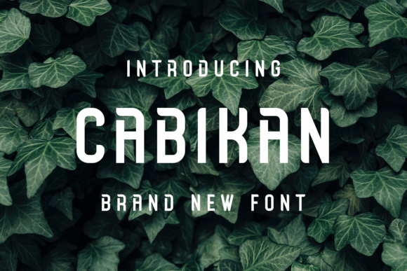 Cabikan: A Modern Sans Serif Font for Web Design