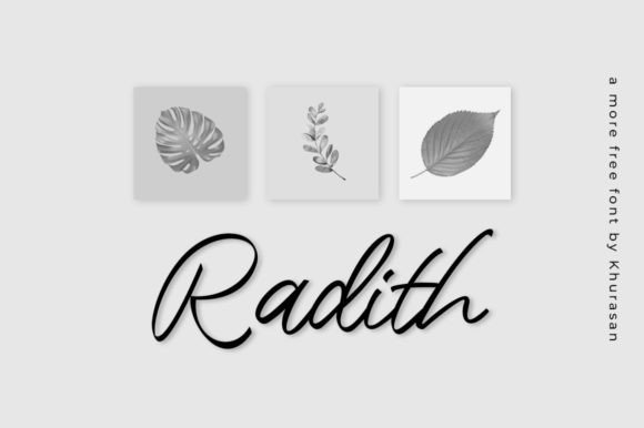 Radith: A Modern Script Font for Handmade Creations