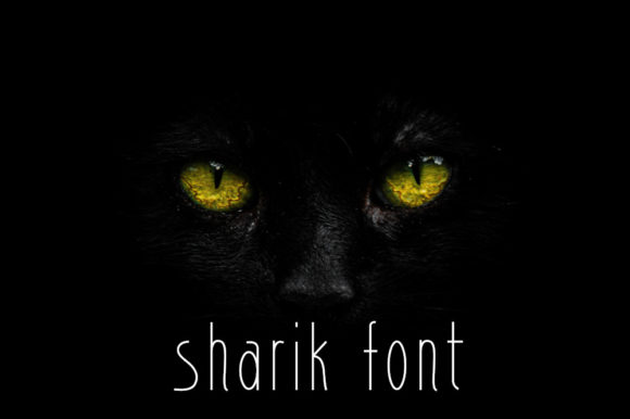 Sharik: A Modern Sans Serif Font for Editorial Design