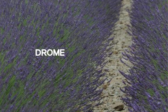 Testing Drome for a Modern Web Design Project