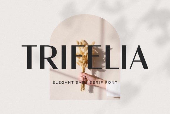 Trifelia: A Modern Sans Serif Font for Creative Makers